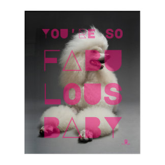 Poodle - You're So Fabulous Baby -  Acrylic Print