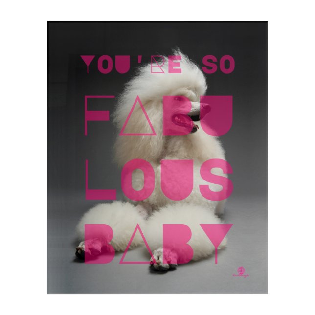 Poodle - You're So Fabulous Baby -  Acrylic Print (Front)