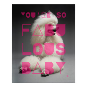 Poodle - You're So Fabulous Baby - Photo Print