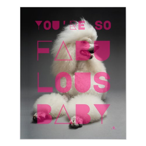 Poodle _ Youre So Fabulous Baby _  Photo Print