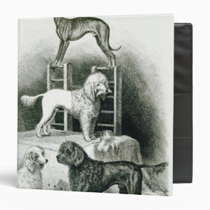 Poodles and Whippet - Group of Mr. Walton's 3 Ring Binder
