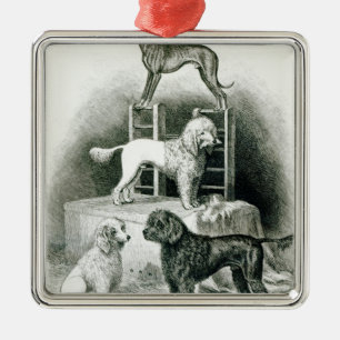 Poodles and Whippet - Group of Mr. Walton's Metal Ornament