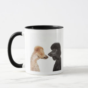 Poodles examining each other mug