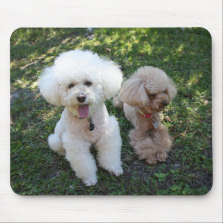 Poodles Mouse Pad