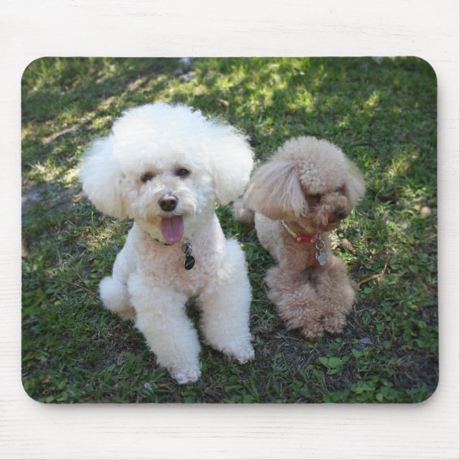 Poodles Mouse Pad (Front)