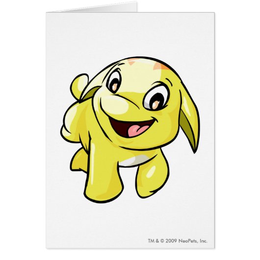 Poogle Yellow Cards (Front)