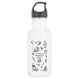 Pooh & Pals A Case of Important Things Quote Stainless Steel Water Bottle