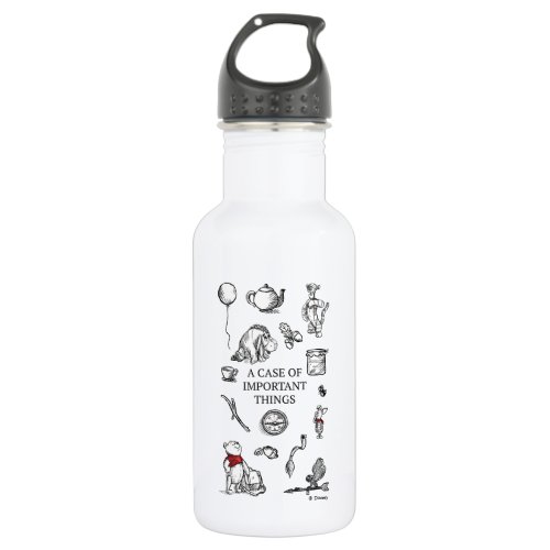 Pooh  Pals  A Case of Important Things Quote Stainless Steel Water Bottle