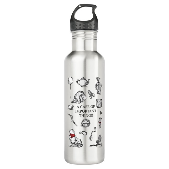 Pooh & Pals | A Case of Important Things Quote Stainless Steel Water Bottle (Front)