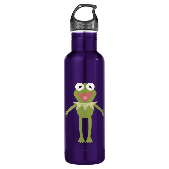 Pook-a-Looz Kermit the Frog Stainless Steel Water Bottle (Front)