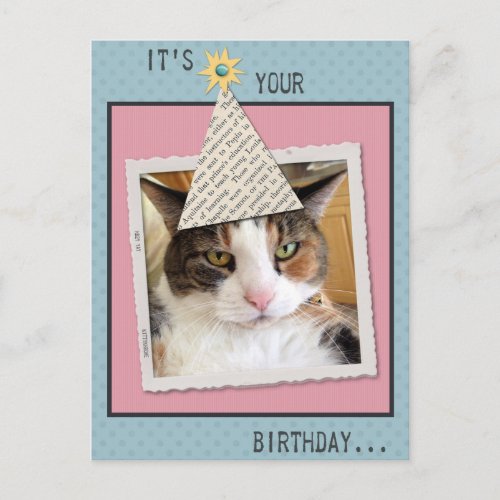 Pookie the Cat Birthday Postcard