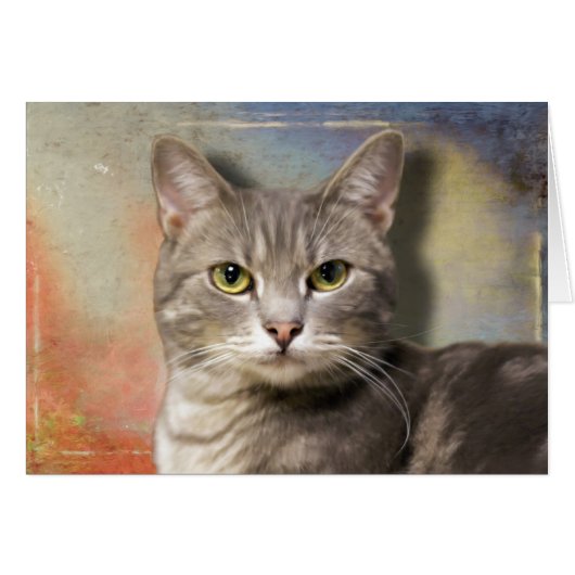 Pookie the Gray Cat (Front Horizontal)