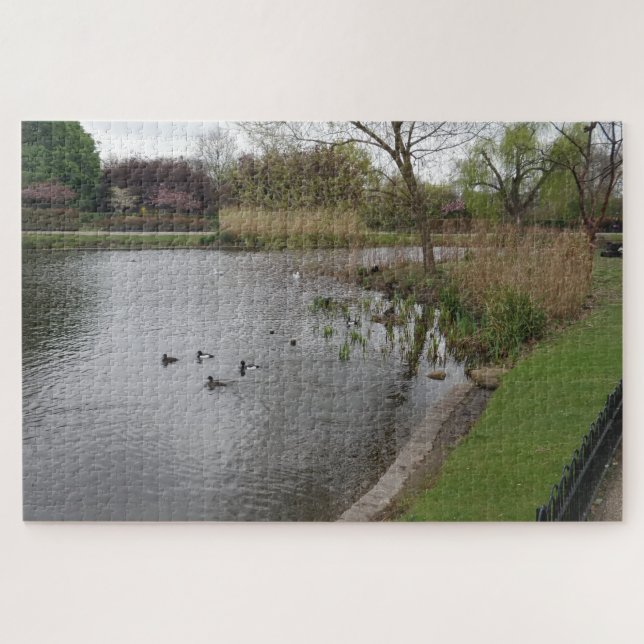Pool & Birds Jigsaw Puzzle (Horizontal)