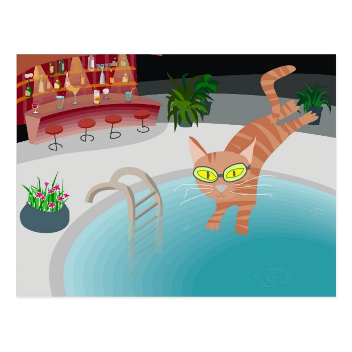 Pool cat post cards