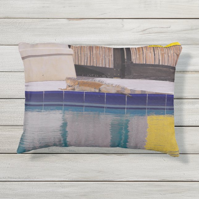 Pool of the Iguana Outdoor Pillow (Back)