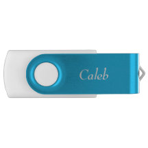 Pool Party Blue Personalized USB