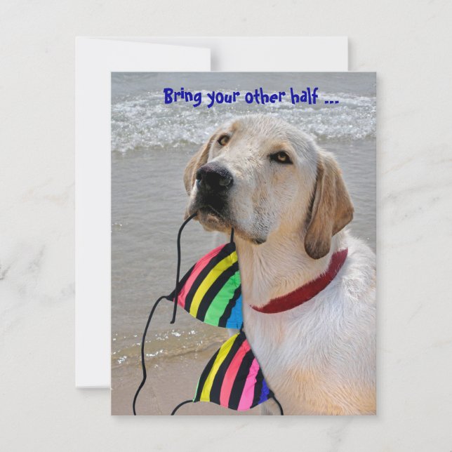Pool Party Humor Invitation (Front)