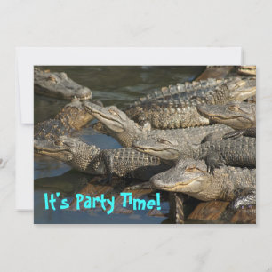 Pool Party Invitation