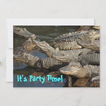 Pool Party Invitation by LivingLife at Zazzle