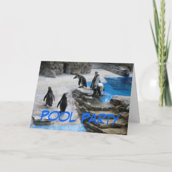 Pool Party Invitation by TheCardStore at Zazzle