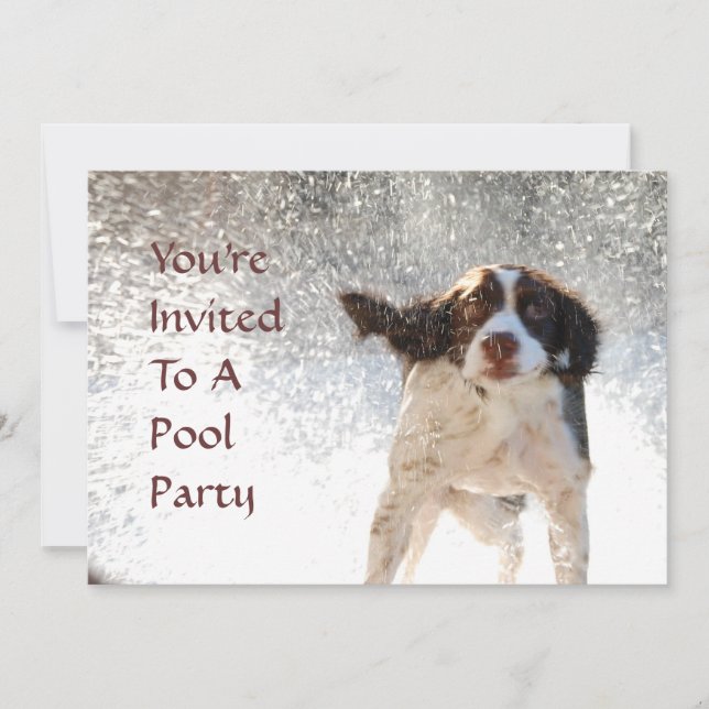 Pool Party Invitations (Front)