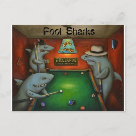 Pool Sharks With Lettering Postcard