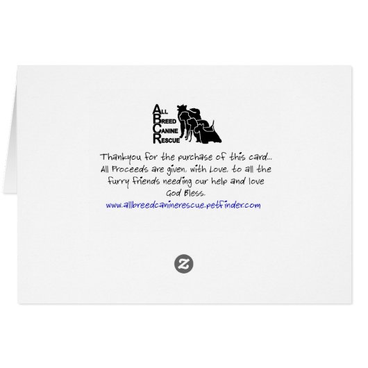 PoolParty Cards (Back Horizontal)