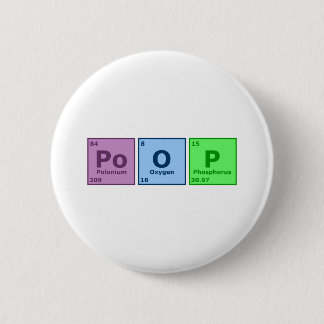 Poop Pinback Button