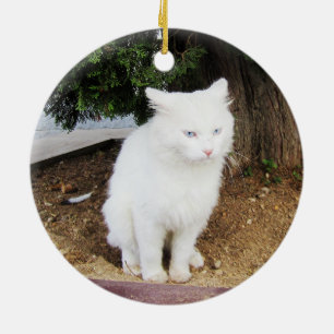 Pooping Cat Ceramic Ornament