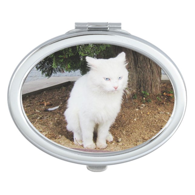 Pooping Cat Compact Mirror (Front)