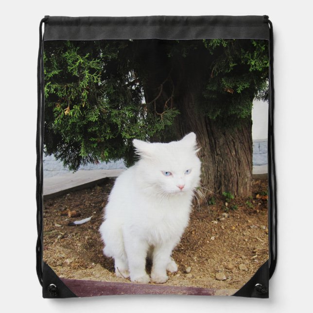Pooping Cat Drawstring Bag (Front)