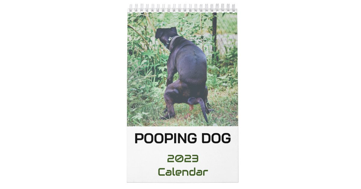 Pooping Dog Calendar 2023 | Zazzle