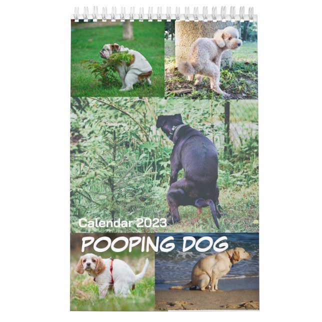 Pooping Dog Calendar 2023 (Cover)