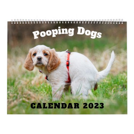 Pooping Dogs Calendar 2023, Funny Dogs