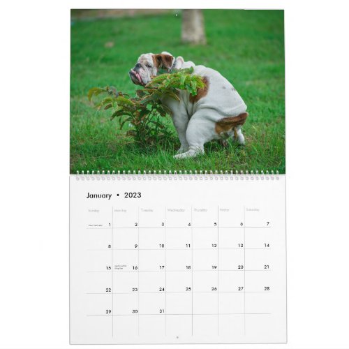 Pooping Dogs Calendar 2023 Funny Dogs 
