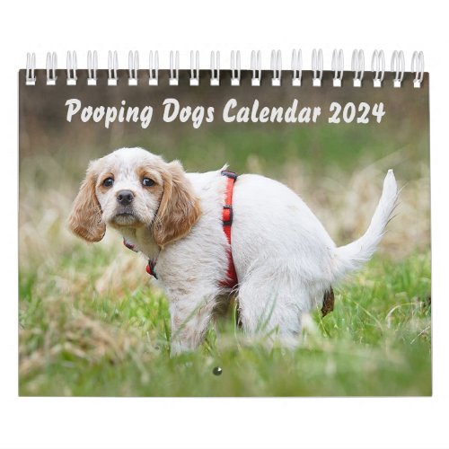 Pooping Dogs Calendar 2024