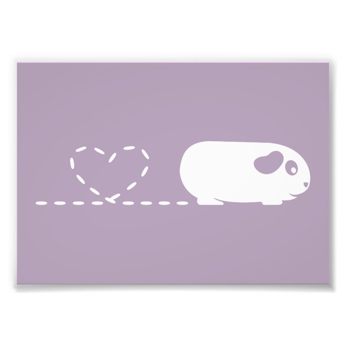 Pooping Guinea Pig Print (Frames Available) Photographic Print