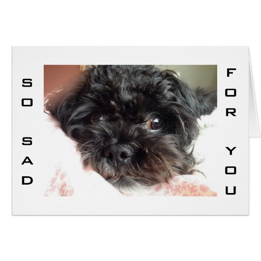 POOR DOG IS SO SAD U R TURNING 40 (Front Horizontal)