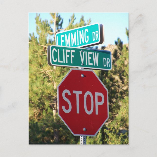 Poor Lemming Postcard (Front)