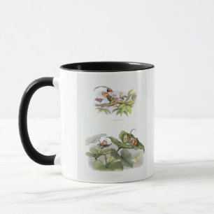Poor little Birdie teased, and Courtship cut short Mug