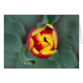 Pop (Front Horizontal)