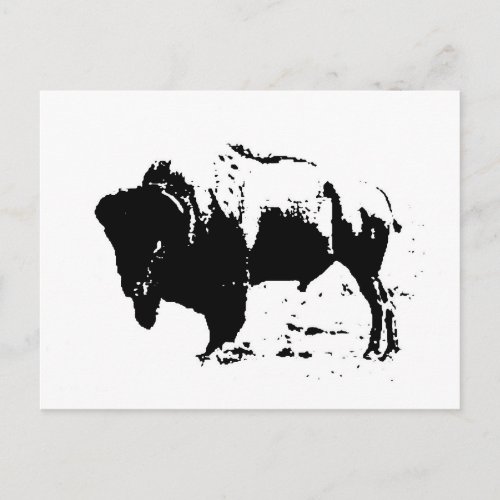 Pop Art Black  White Buffalo Silhouette Postcard