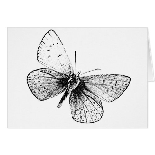 Pop Art Butterfly