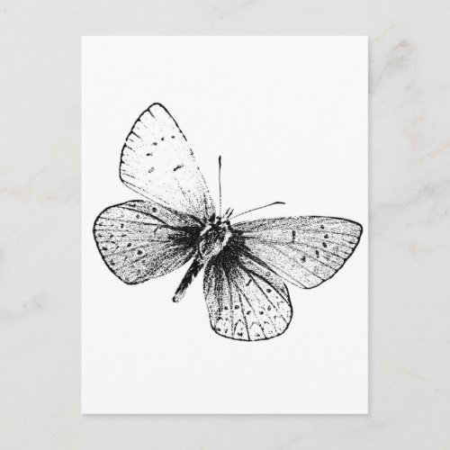 Pop Art Butterfly Postcard