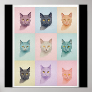 Pop Art cat Photo Modern Trendy Retro Color Block  Poster