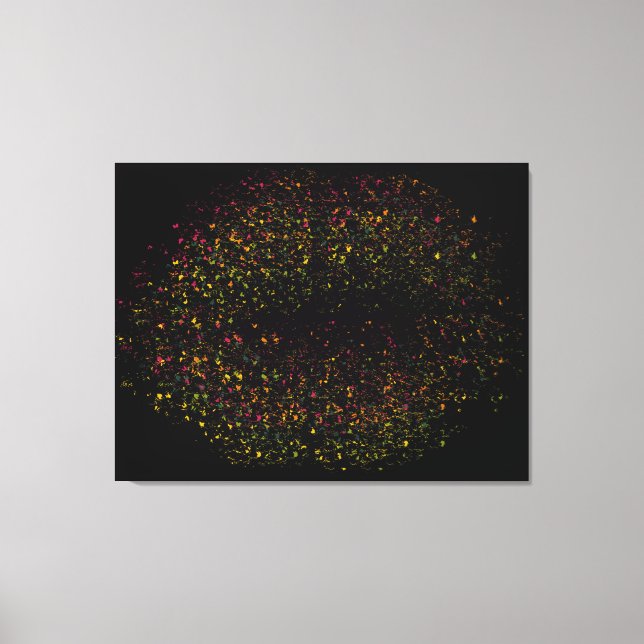 Pop Art Colorful Lips Canvas Print (Front)