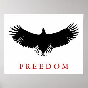 Pop Art Freedom Eagle Landing Poster