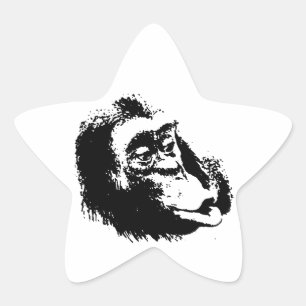 Pop Art Funny Chimpanzee Star Sticker