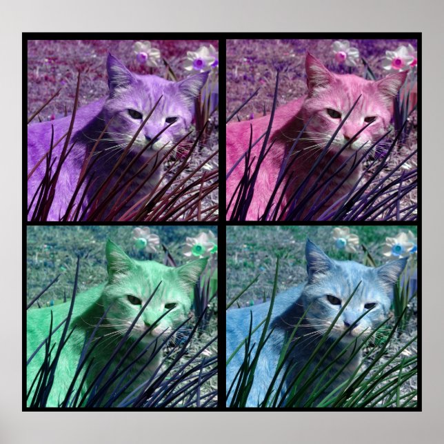 Pop Art Tiger Cat Poster (Front)