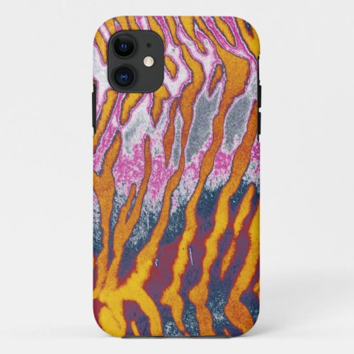 Pop art tiger skin 2 iPhone 11 case